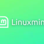 How to run multiple commands in parallel in Linux Mint