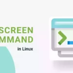 How to use screen command in Linux