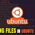 Finding Files in Ubuntu 22.04