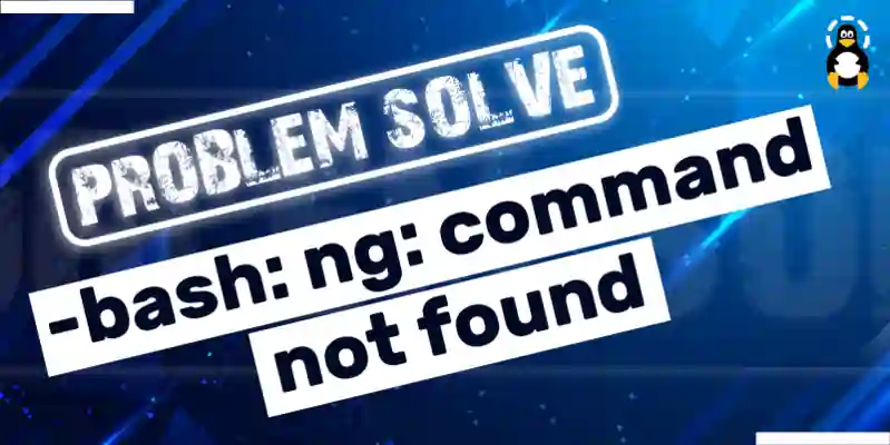 How to Fix -bash ng command not found