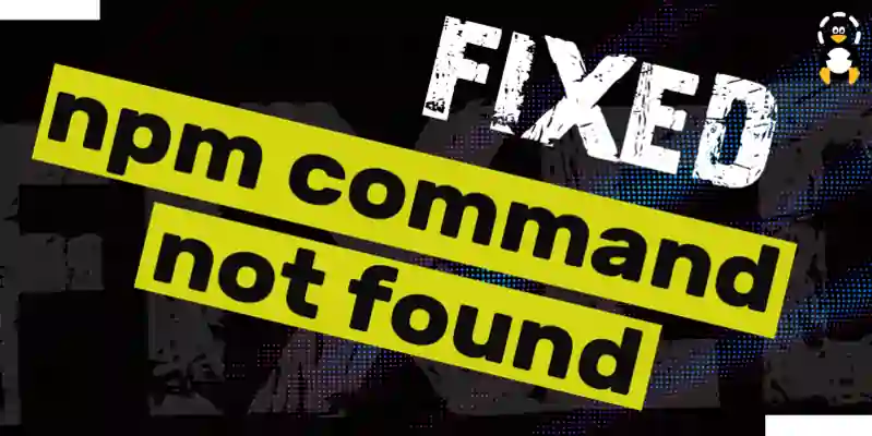 How to Fix npm command not found Error