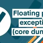 How to fix “floating point exception (core dumped)” error