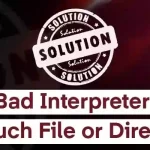 How to fix the Bad Interpreter No Such File or Directory error