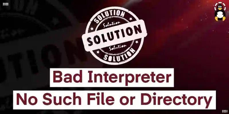 How to fix the Bad Interpreter No Such File or Directory error