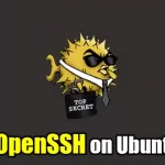 How to Install aand Enable OpenSSH on Ubuntu 22.04#