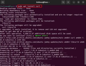 install anaconda ubuntu 18.04 to usr