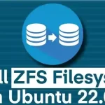 Install ZFS Filesystem on Ubuntu 22.04