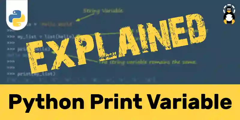 Python Print Variable