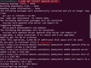 How To Install And Enable OpenSSH On Ubuntu 22.04 – Its Linux FOSS