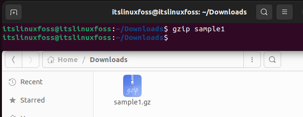 How To Fix The “Gzip: Stdin: Not In Gzip Format” Error – Its Linux Foss