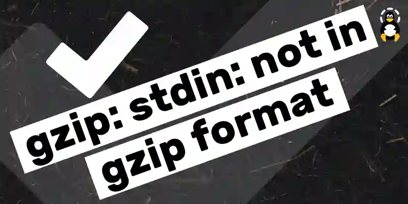 gzip stdin not in gzip format