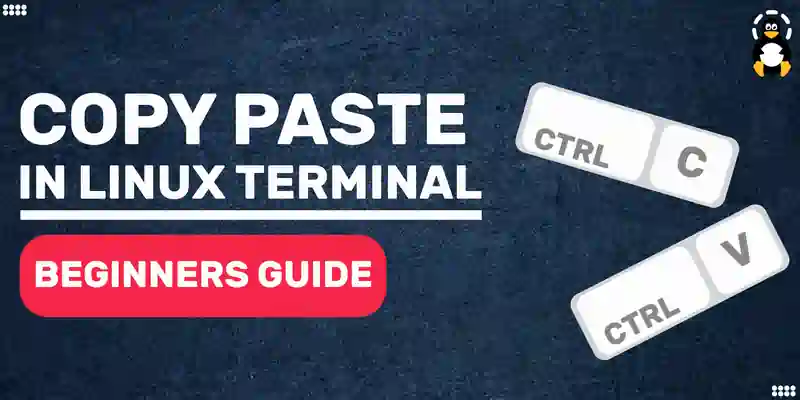 How to Copy Paste in Linux Terminal A Beginners Guide