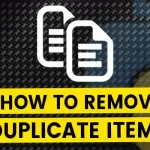 How to Remove duplicate items in python list