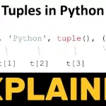 Python Access Tuple Explained