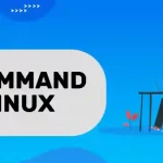cp Command in Linux | Explained