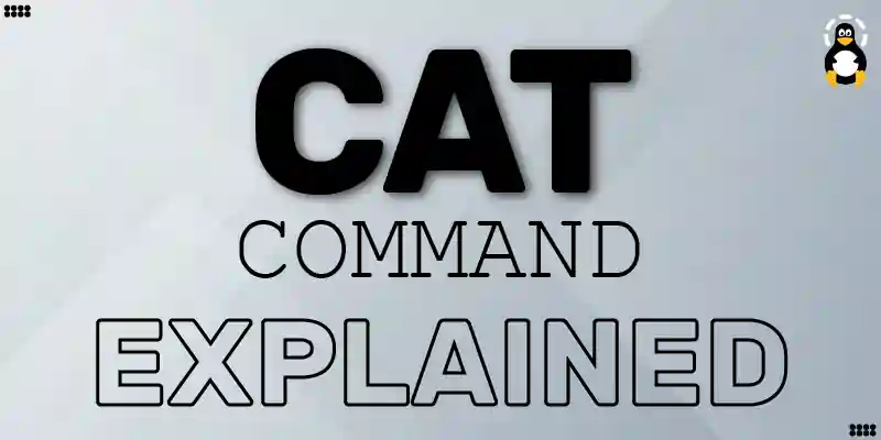 cat Command in Linux | Explained