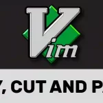 How to Copy, Cut and Paste in Vim Vi
