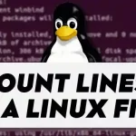 How to Count Lines in a Linux File