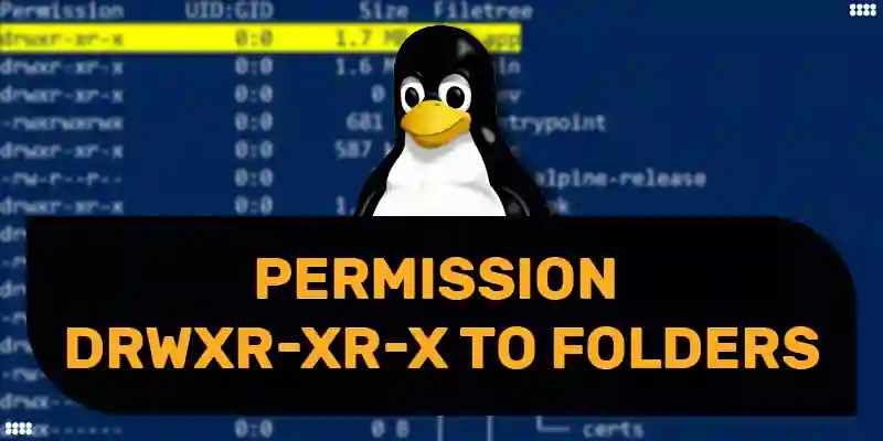 How to set the permission drwxr-xr-x to folders
