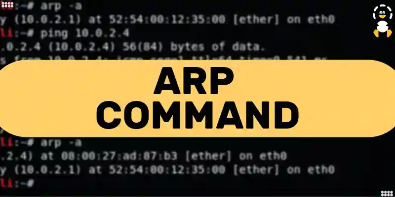 How to use arp command in Linux