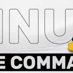 Linux File Command Explained
