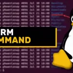 Linux rm command explained