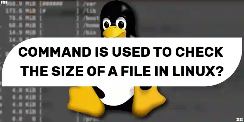 Which Command is Used to Check the Size of a File in Linux