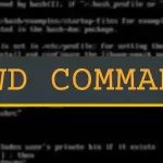 pwd Command in Linux | Explained