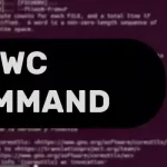 wc Command in Linux Explained