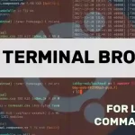 5 Best Terminal Browsers for Linux Command Line