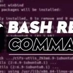 Bash read Command