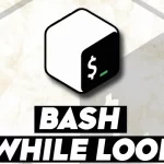 Bash while loop
