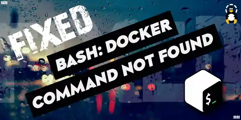 Fix bash docker command not found