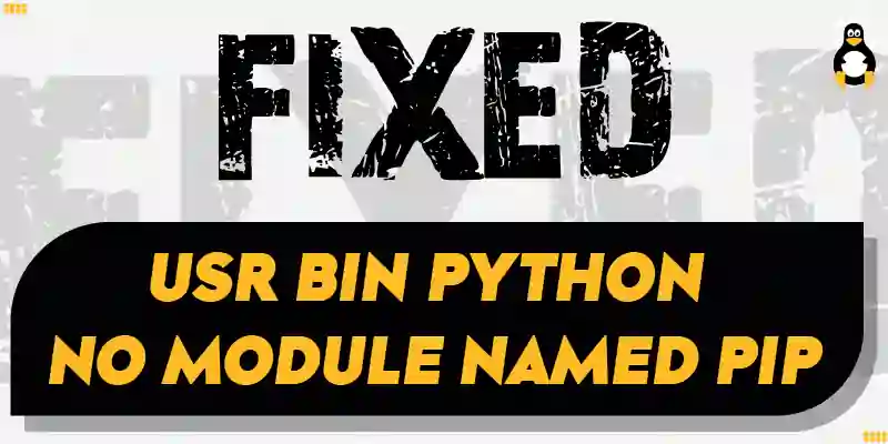 Fix usr bin python no module named pip