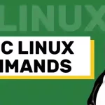 Getting started with basic Linux commands