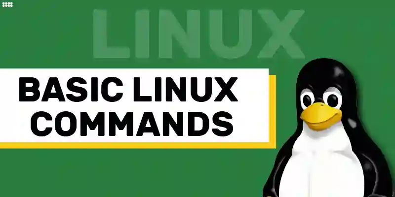 Getting started with basic Linux commands