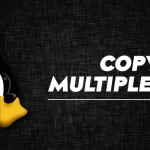 How to Copy Multiple Files Linux