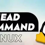 Linux head Command