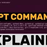 apt Command in Linux Explained