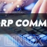 chgrp Command in Linux Explained