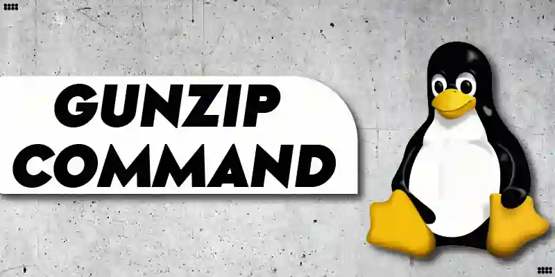 gunzip Command in Linux Explained
