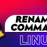 rename Command in Linux Explained