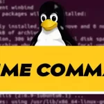 uptime Command in Linux Explained