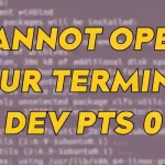 Fix cannot open your terminal dev pts 0 please check