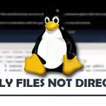 How to List Only Files Not Directories in Linux