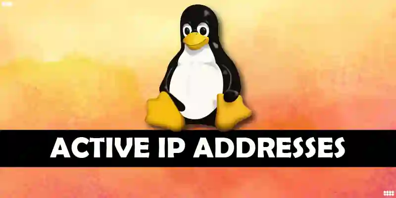 How to see/check all Active IP Addresses on a Network?