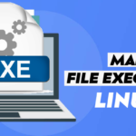 How to Make a File Executable in Linux?