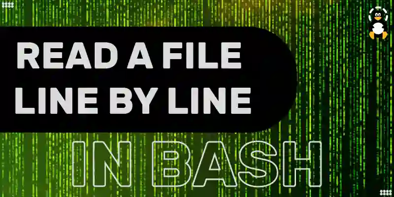 How to Read a File Line By Line in Bash
