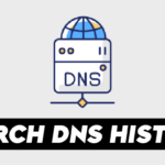 How to Search DNS history in Linux