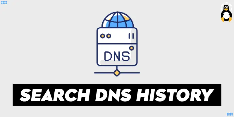 How to Search DNS history in Linux